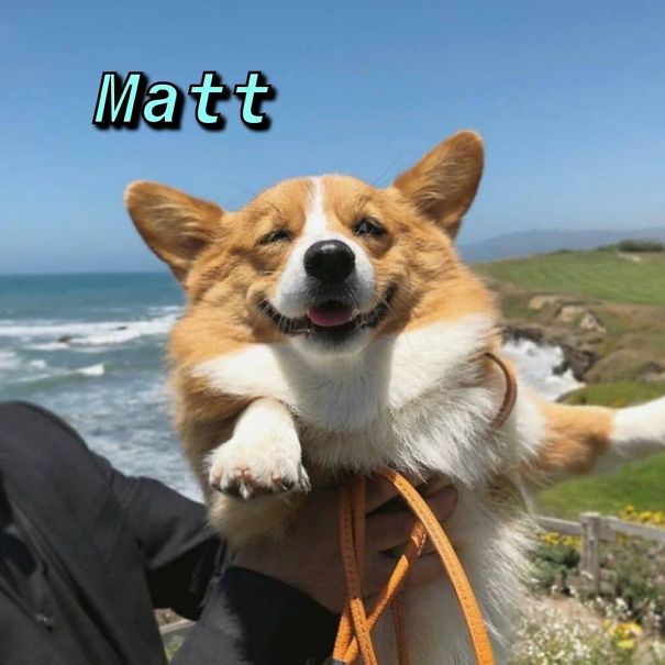 Instagram-Meme-Dog-Photos-Based-On-Names-Whatdogyouare
