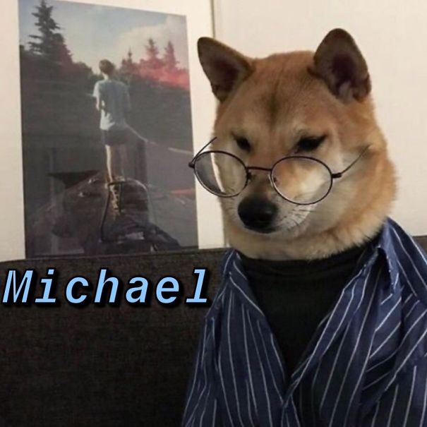 Instagram-Meme-Dog-Photos-Based-On-Names-Whatdogyouare