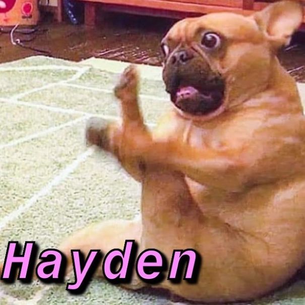 Instagram-Meme-Dog-Photos-Based-On-Names-Whatdogyouare