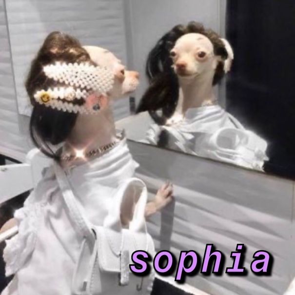 Instagram-Meme-Dog-Photos-Based-On-Names-Whatdogyouare