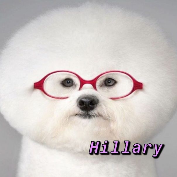 Instagram-Meme-Dog-Photos-Based-On-Names-Whatdogyouare