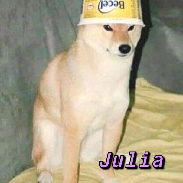 Instagram-Meme-Dog-Photos-Based-On-Names-Whatdogyouare