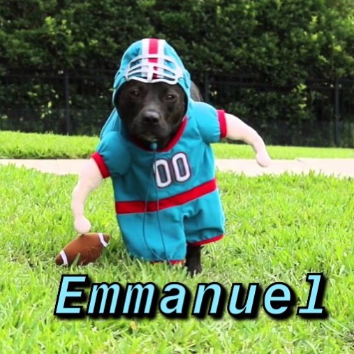 Instagram-Meme-Dog-Photos-Based-On-Names-Whatdogyouare
