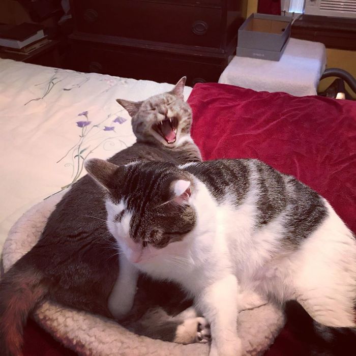 “Bod, You're Squishing Me!”