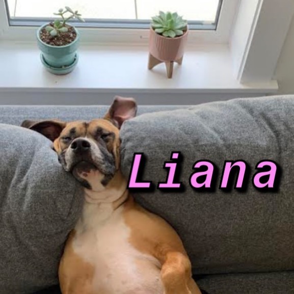 Instagram-Meme-Dog-Photos-Based-On-Names-Whatdogyouare