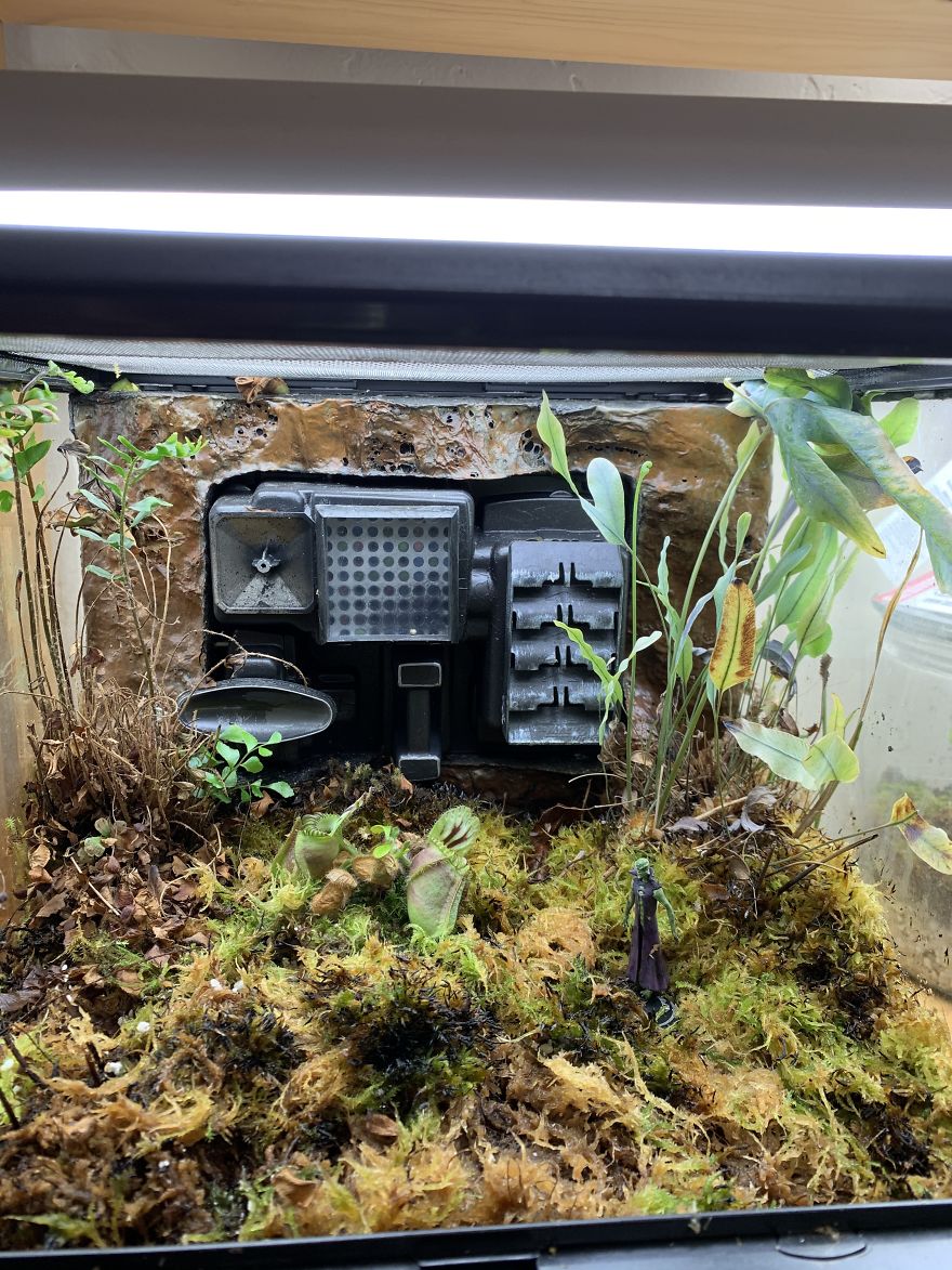 I Visited Texas Triffid Ranch: Dallas’s Carnivorous Plant Gallery (14 Pics)