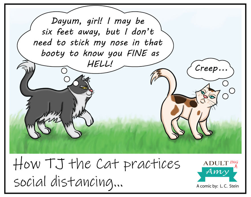 10 Comics On How To Adult During A Quarantine 10 Comics On How To Adult During A Quarantine