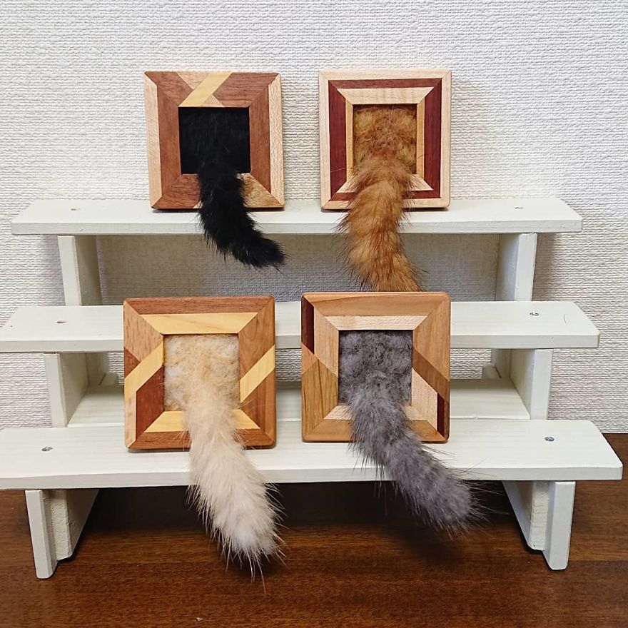Artist Creates Realistic 3D Frames Of Cats And They Are Perfect!