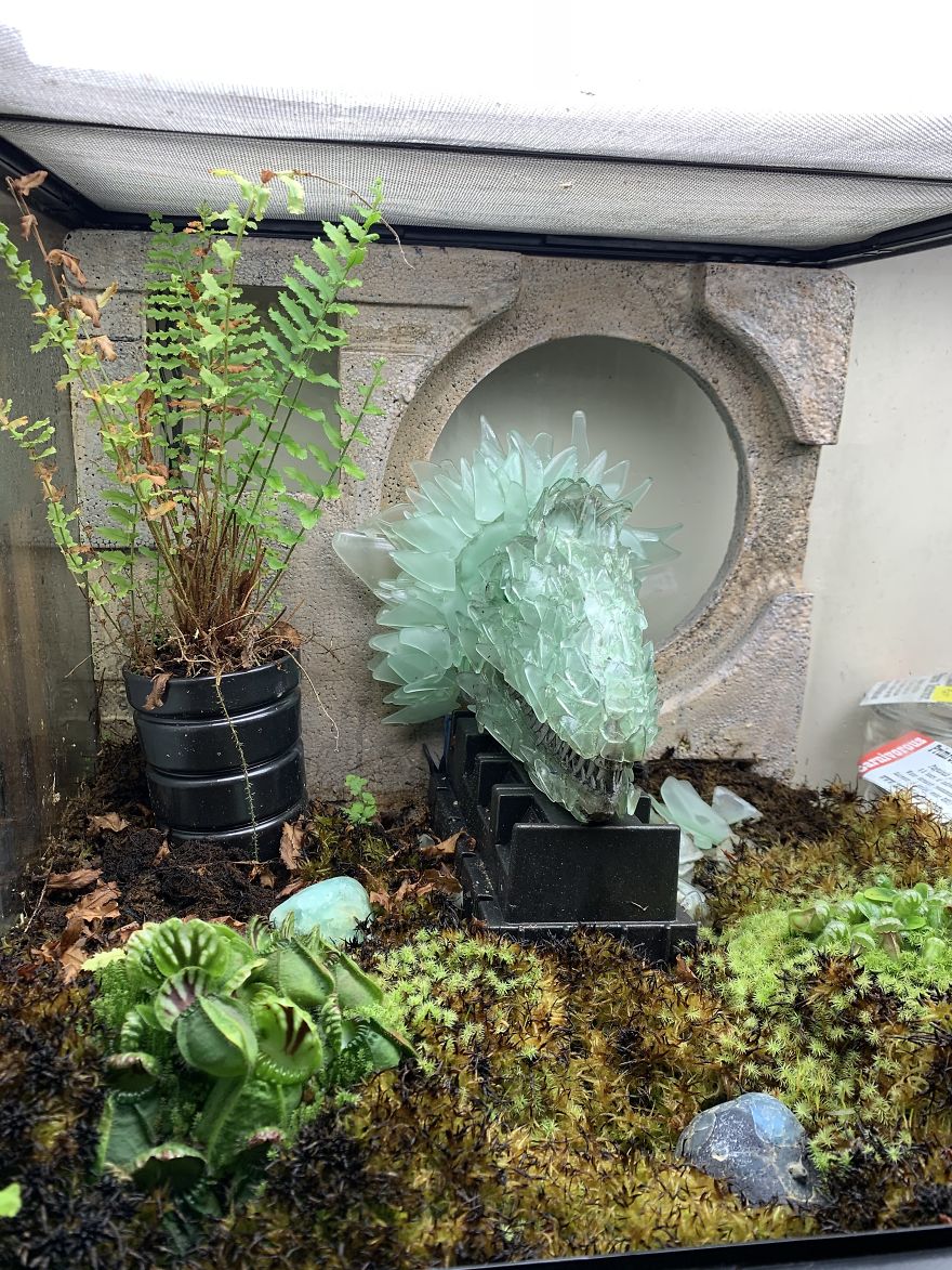 I Visited Texas Triffid Ranch: Dallas’s Carnivorous Plant Gallery (14 Pics)