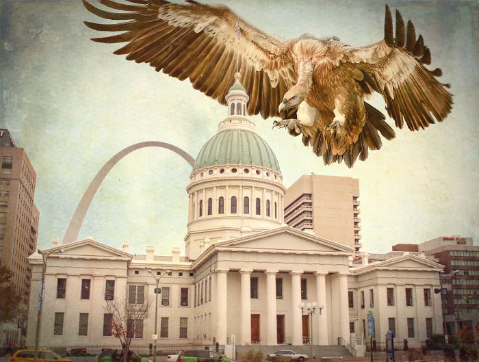 Digital-Art-Contest-Oversized-Animals-Designcrowd