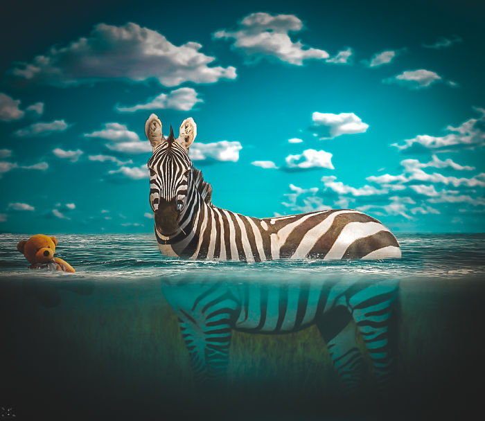 Digital-Art-Contest-Oversized-Animals-Designcrowd