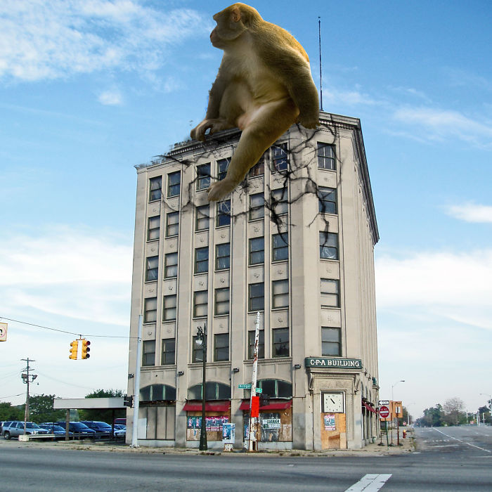 Digital-Art-Contest-Oversized-Animals-Designcrowd