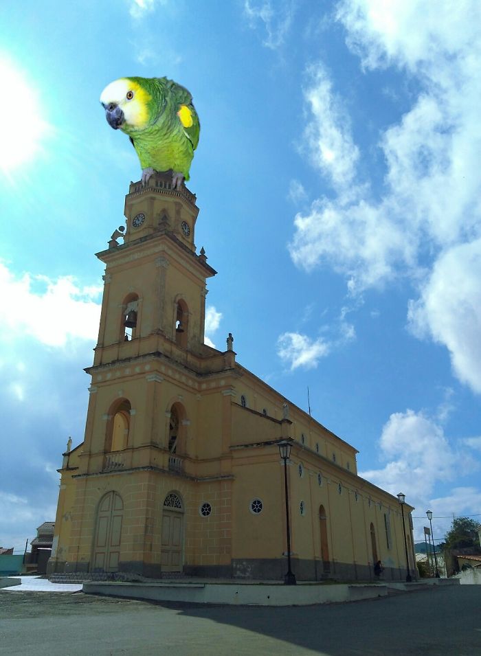 Digital-Art-Contest-Oversized-Animals-Designcrowd