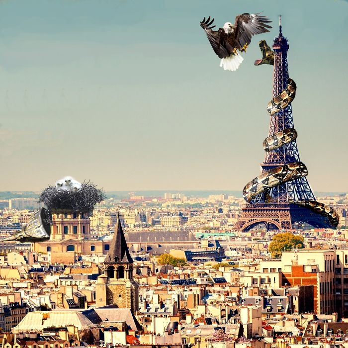 Digital-Art-Contest-Oversized-Animals-Designcrowd