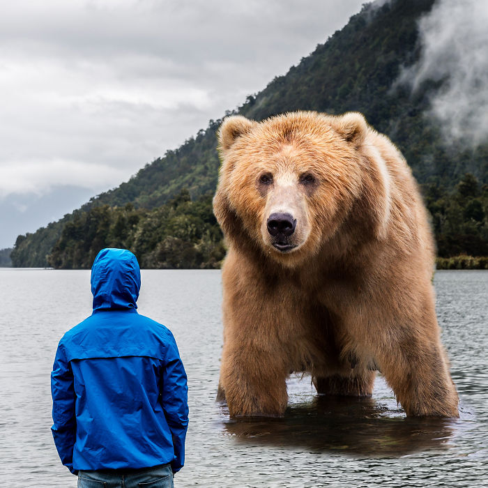 Digital-Art-Contest-Oversized-Animals-Designcrowd