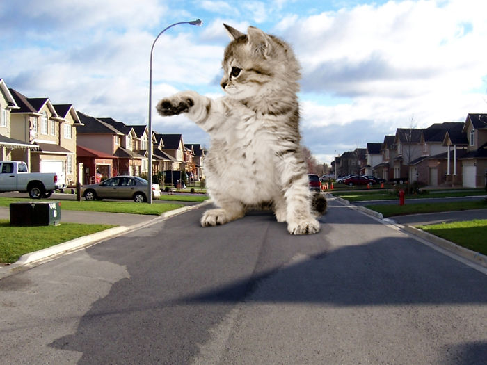 Digital-Art-Contest-Oversized-Animals-Designcrowd