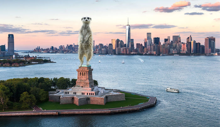 Digital-Art-Contest-Oversized-Animals-Designcrowd