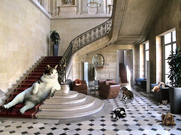 Digital-Art-Contest-Oversized-Animals-Designcrowd