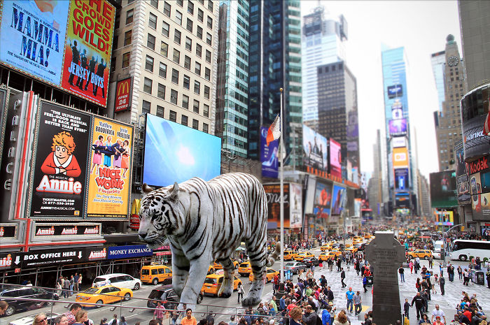 Digital-Art-Contest-Oversized-Animals-Designcrowd