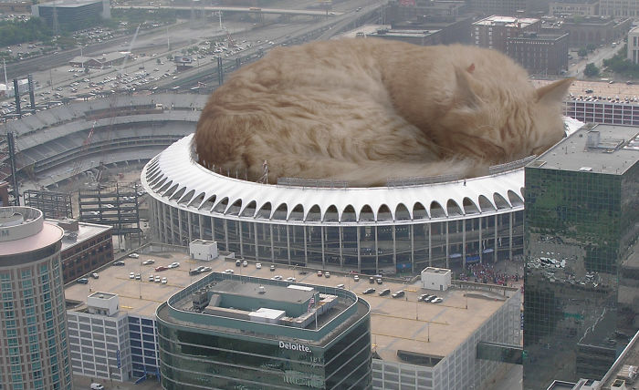 Digital-Art-Contest-Oversized-Animals-Designcrowd