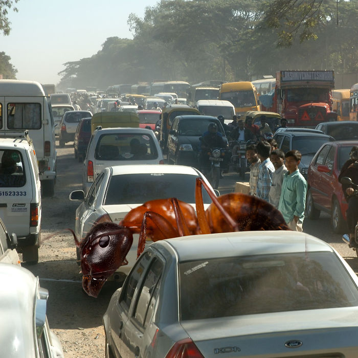 Digital-Art-Contest-Oversized-Animals-Designcrowd