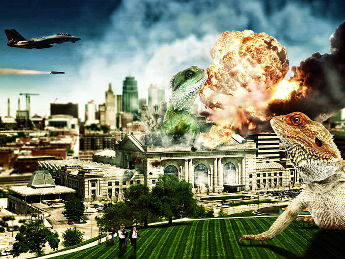 Digital-Art-Contest-Oversized-Animals-Designcrowd