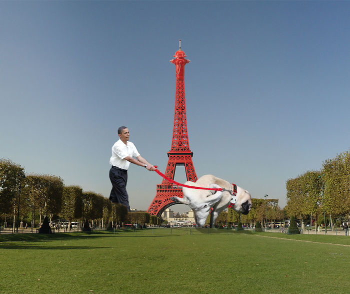 Digital-Art-Contest-Oversized-Animals-Designcrowd