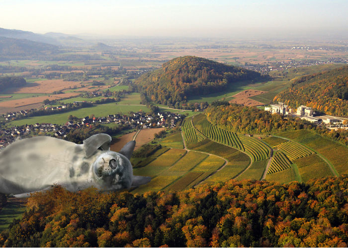 Digital-Art-Contest-Oversized-Animals-Designcrowd