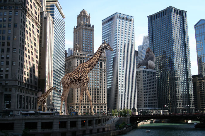 Digital-Art-Contest-Oversized-Animals-Designcrowd