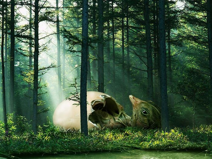 Digital-Art-Contest-Oversized-Animals-Designcrowd