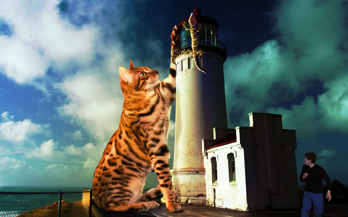 Digital-Art-Contest-Oversized-Animals-Designcrowd