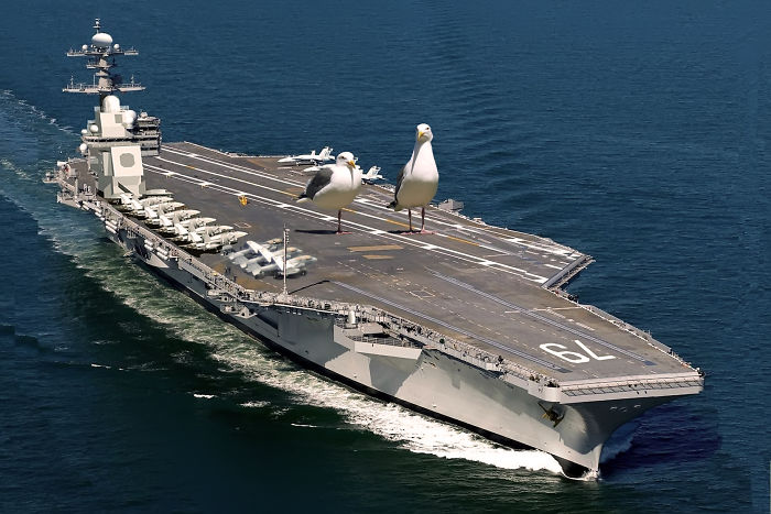 Digital-Art-Contest-Oversized-Animals-Designcrowd