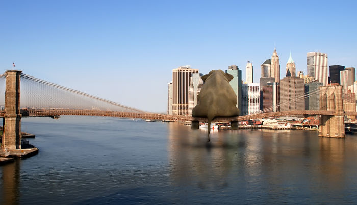 Digital-Art-Contest-Oversized-Animals-Designcrowd