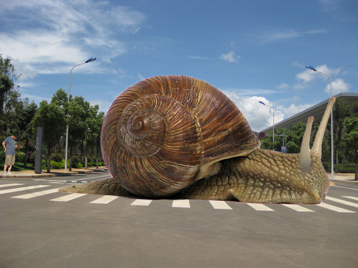 Digital-Art-Contest-Oversized-Animals-Designcrowd