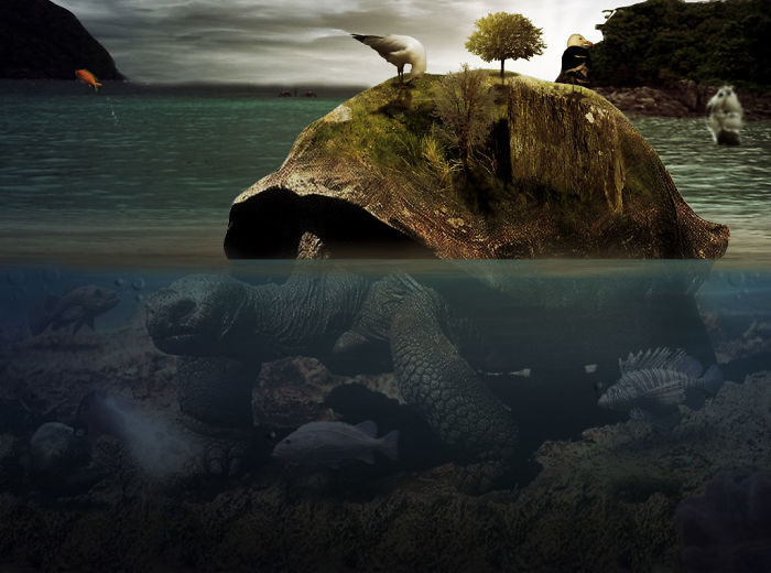 Digital-Art-Contest-Oversized-Animals-Designcrowd