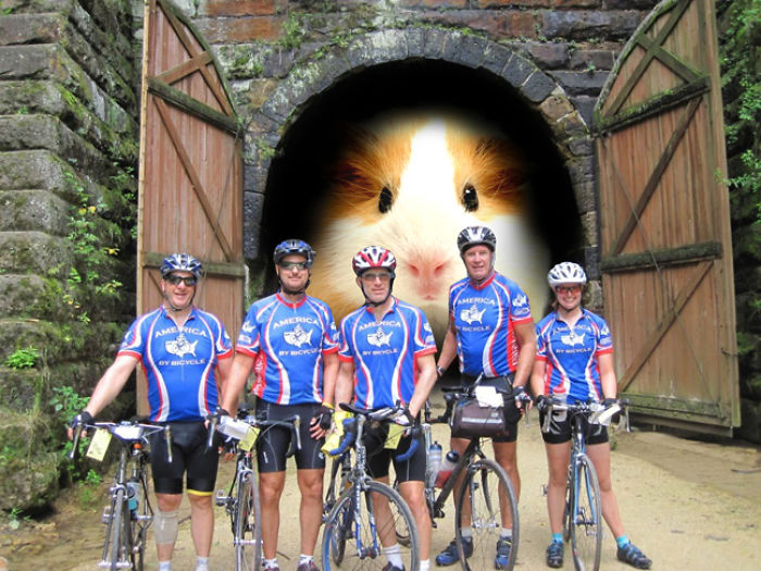 Digital-Art-Contest-Oversized-Animals-Designcrowd