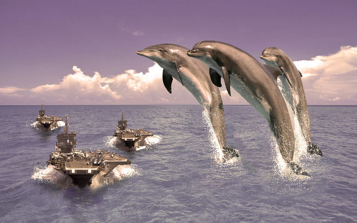 Digital-Art-Contest-Oversized-Animals-Designcrowd