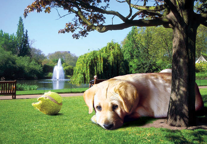 Digital-Art-Contest-Oversized-Animals-Designcrowd