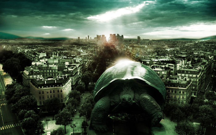 Digital-Art-Contest-Oversized-Animals-Designcrowd