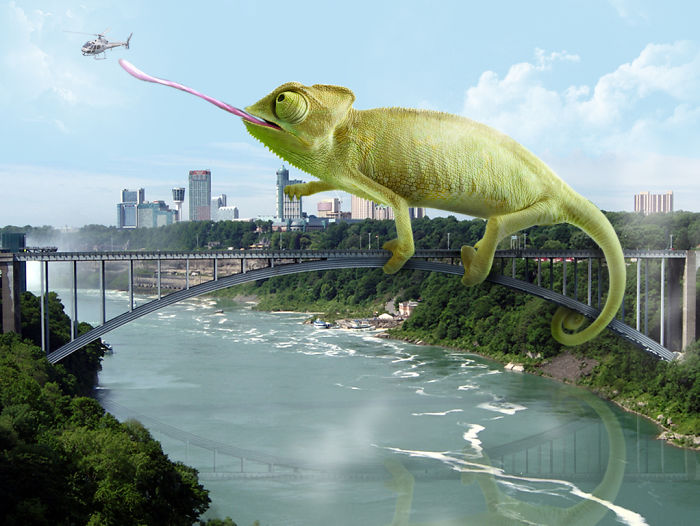 Digital-Art-Contest-Oversized-Animals-Designcrowd