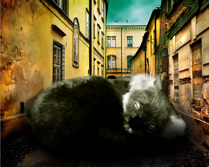 Digital-Art-Contest-Oversized-Animals-Designcrowd