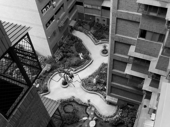 Digital-Art-Contest-Oversized-Animals-Designcrowd