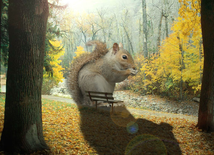 Digital-Art-Contest-Oversized-Animals-Designcrowd