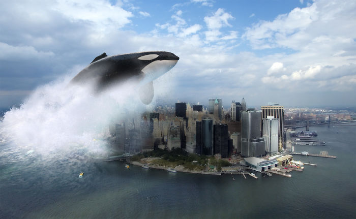 Digital-Art-Contest-Oversized-Animals-Designcrowd