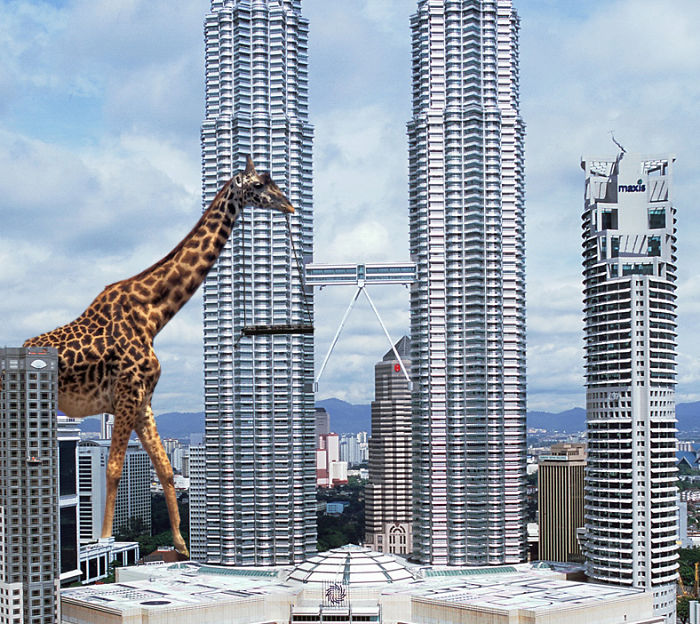 Digital-Art-Contest-Oversized-Animals-Designcrowd