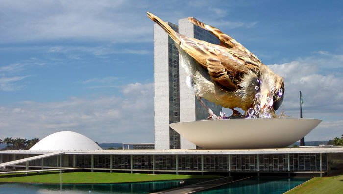 Digital-Art-Contest-Oversized-Animals-Designcrowd