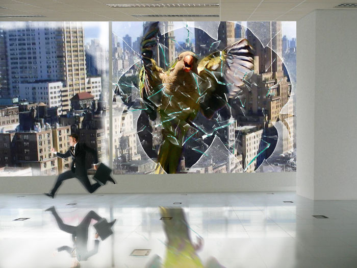 Digital-Art-Contest-Oversized-Animals-Designcrowd