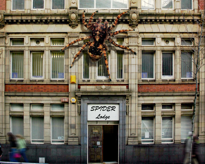 Digital-Art-Contest-Oversized-Animals-Designcrowd