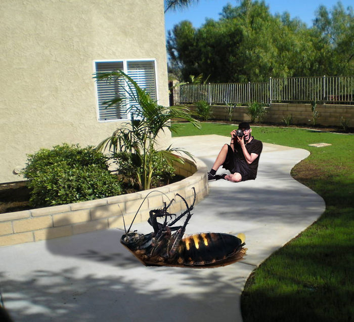 Digital-Art-Contest-Oversized-Animals-Designcrowd