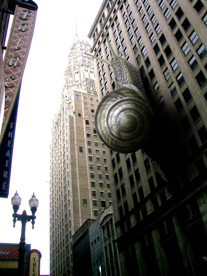 Digital-Art-Contest-Oversized-Animals-Designcrowd